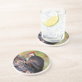 Vackra Pileated Woodpecker på Träd Underlägg