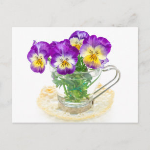 vackra ponnyblommor isolerade i kopp vykort