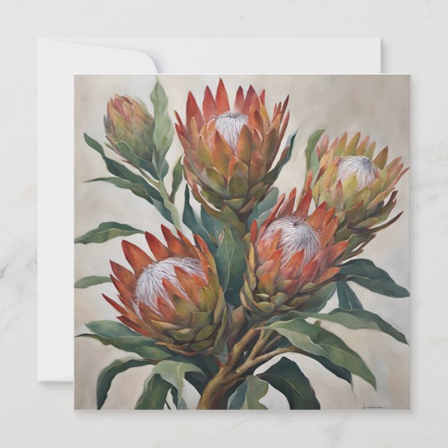 Vackra Protea Flowers från södra Afrikan (Framsida)