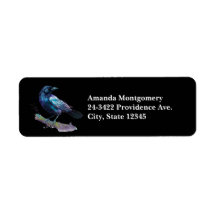 Vackra Raven på Träd Gren