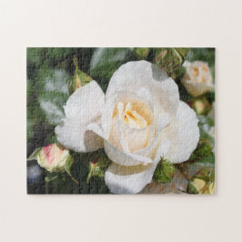 vackra rena vita rosenblommor. kärlek, romantik pussel