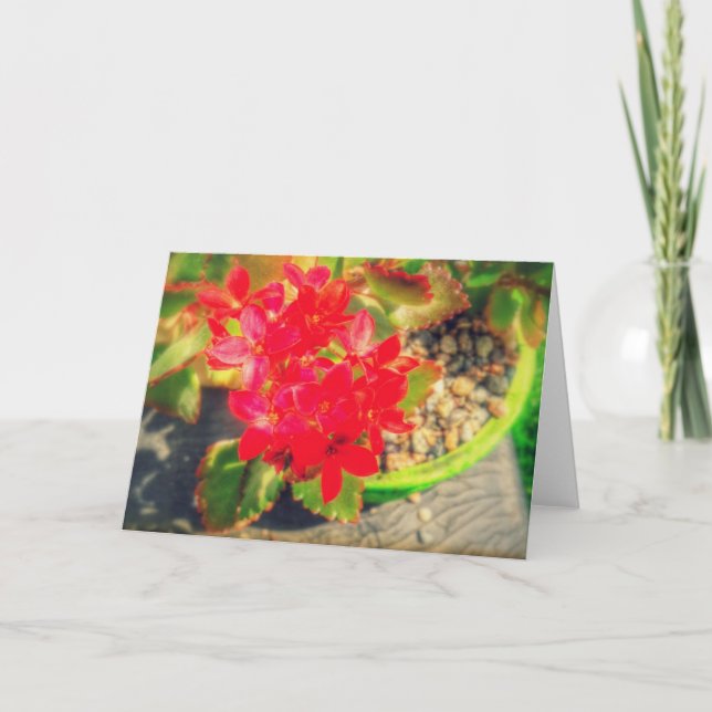 Vackra röda blommande blommor kort (Framsida)