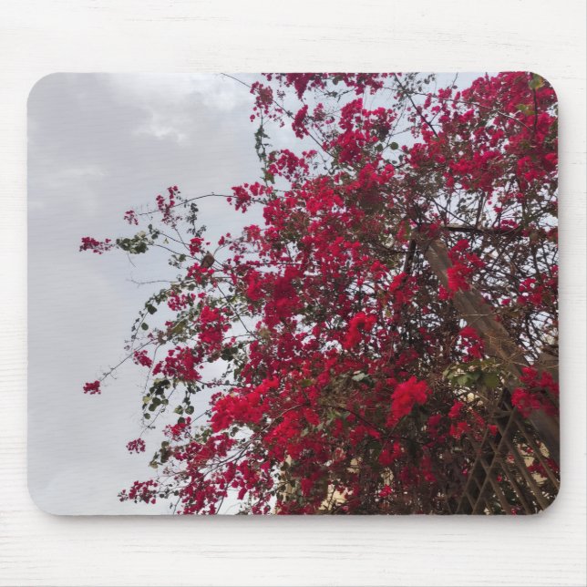 Vackra röda Bougainvillea blommor & molnig himmel  Musmatta (Framsidan)