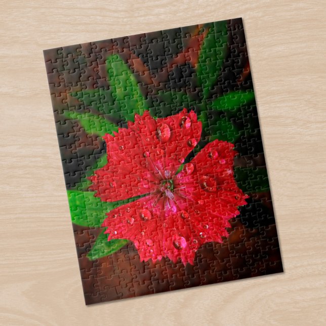 Vackra röda dianthus blomma med regndroppar, foto pussel (Beautiful Red Dianthus Flower With Raindrops Photo Jigsaw Puzzle in situ)