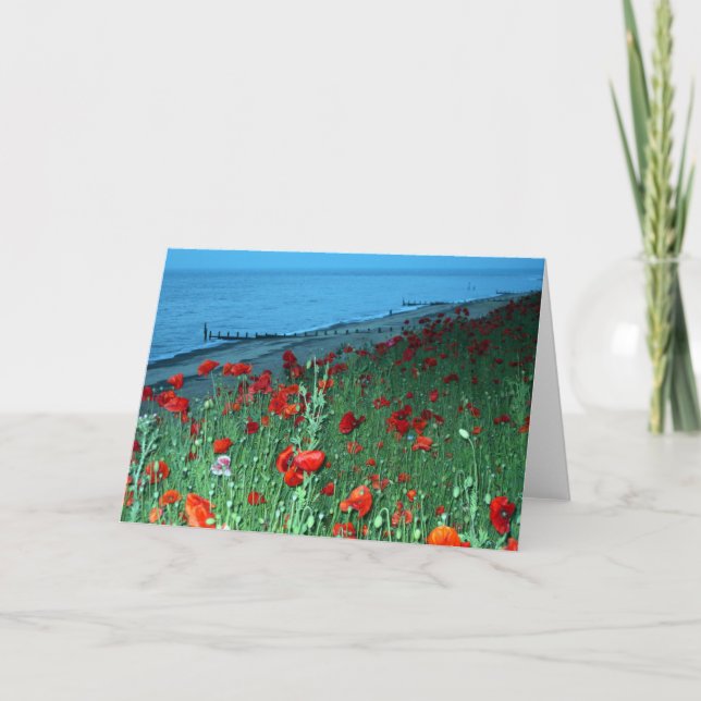 Vackra röda poppies Seafront Foto Kort (Framsida)