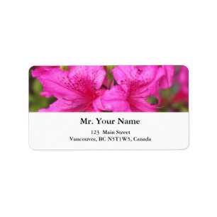 vackra rosa azaleablommor adressetikett