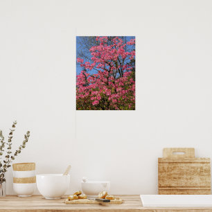 Vackra rosa azaleor blommor poster