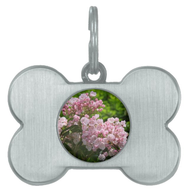 Vackra rosa berglorblommor namnbricka husdjur (Framsidan)