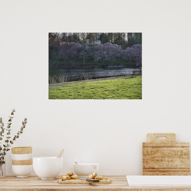 Vackra rosa blommiga träd vid damm poster (Kök)