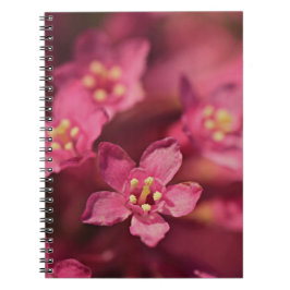 Vackra rosa blommor anteckningsbok