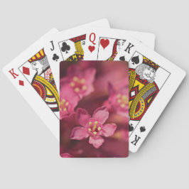 Vackra rosa blommor casinokort