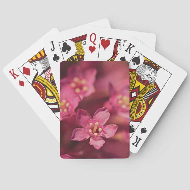 Vackra rosa blommor casinokort (Baksidan)