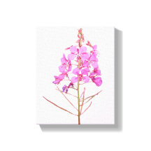 Vackra rosa blommor enkel modern floral botanik