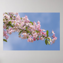 Vackra rosa blommor i fruktträdgården poster