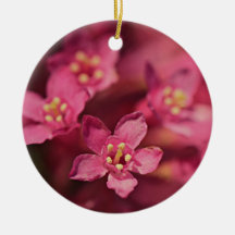 Vackra rosa blommor