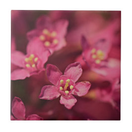 Vackra rosa blommor kakelplatta