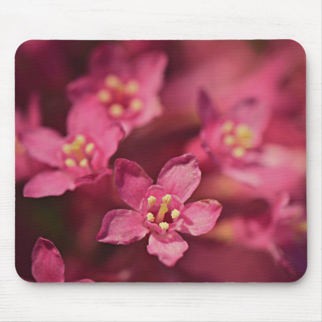 Vackra rosa blommor musmatta (Framsidan)