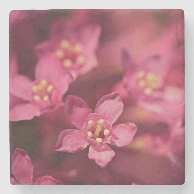 Vackra rosa blommor stenunderlägg (Framsidan)