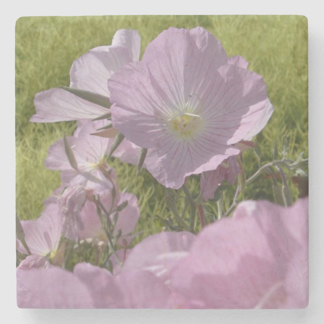 Vackra Rosa Flowers Photo Marble Stone Underlägg (Framsidan)
