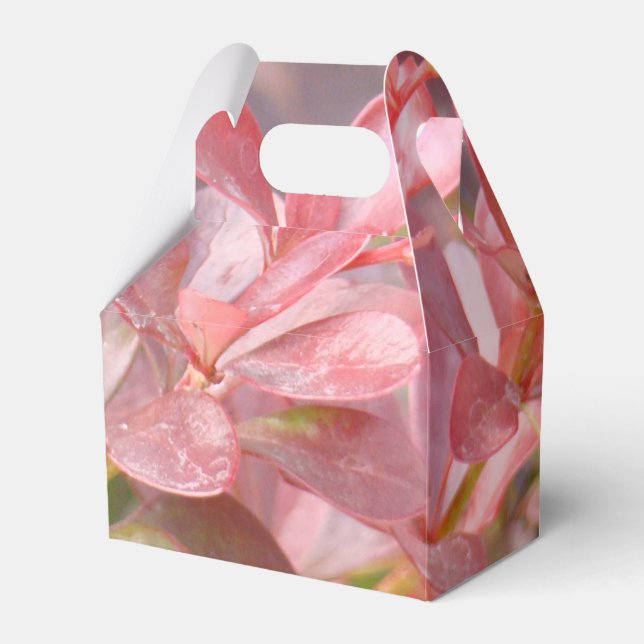 Vackra Rosa Grenar Presentaskar (Framsidan Sidan)
