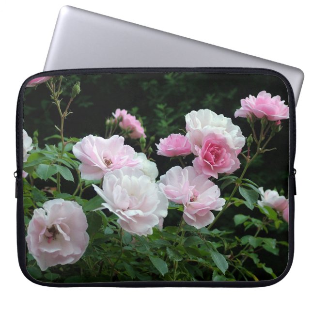 vackra rosa och vita rosenblommor. Blommig foto Laptop Fodral (Framsidan)