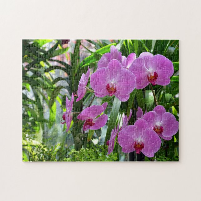 Vackra rosa, orchid print puzze pussel (Horisontell)