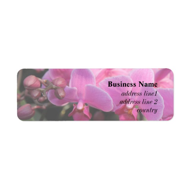 vackra rosa orkidéblommor returadress etikett (Framsidan)