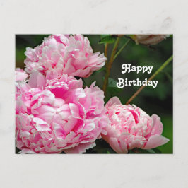 Vackra Rosa Peonéer Blommig Foto Födelsedag Vykort