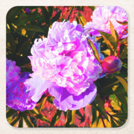 Vackra rosa peonior underlägg papper kvadrat