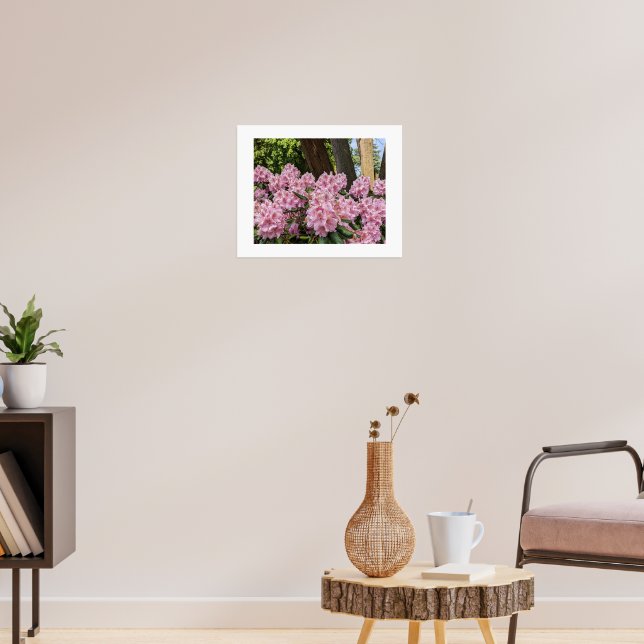 Vackra rosa Rhododendron Blommor Poster (Vardagsrum 3)