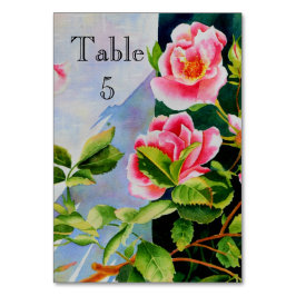 Vackra rosa röd vit ros blommigt bordsnummer