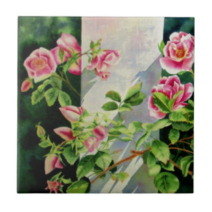 Vackra rosa röd vit ros blommigt kakelplatta