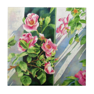 Vackra rosa röd vit ros blommigt kakelplatta