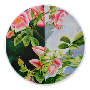 Vackra rosa röd vit ros blommigt knopp