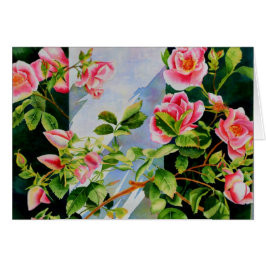 Vackra rosa röd vit ros blommigt OBS kort