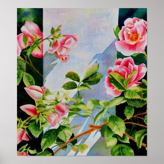 Vackra rosa röd vit ros blommigt poster (Framsidan)
