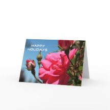 Vackra rosa rosblommor glad jul