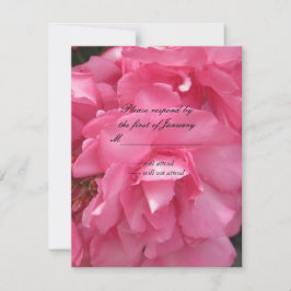 Vackra Rosa Rosor RSVP Svarskort OSA Kort