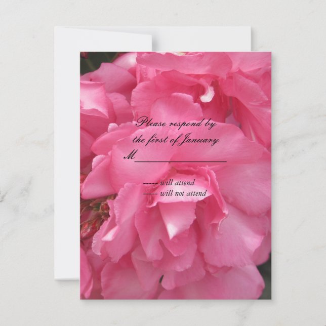 Vackra Rosa Rosor RSVP Svarskort OSA Kort (Framsida)