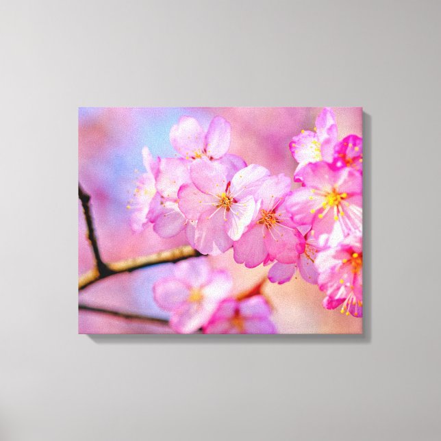 Vackra rosa Sakura-blommor på våren Canvastryck (Framsida)