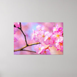 Vackra rosa Sakura-blommor på våren Canvastryck
