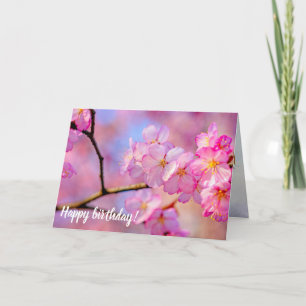 Vackra Rosa Sakura Flowers i Springtime Kort