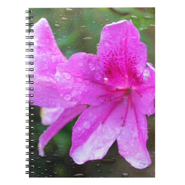 Vackra rosa trädgårdsblommor med regndroppar. blom anteckningsbok (Framsidan)