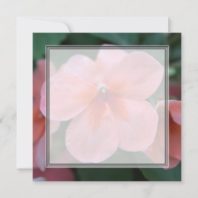 Vackra rosa trädgårdsblommor tom tom bröllop, fest inbjudningar (Framsida)