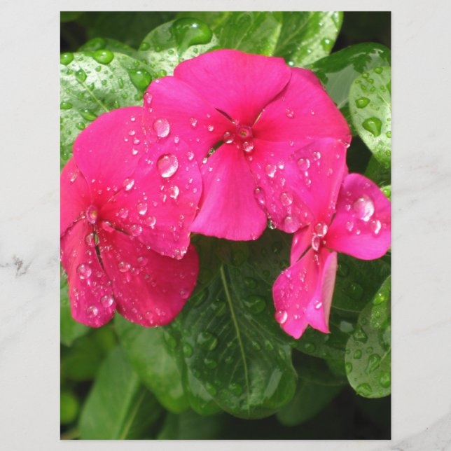 Vackra rosa vårblommor Scrapbookingpapper (Framsida)