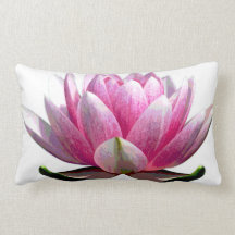 Vackra Rosor och vita Lotus blommor