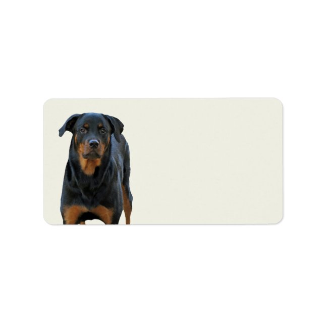 Vackra Rottweiler-etiketter Adressetikett (Framsidan)