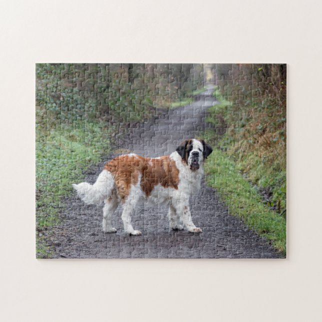 Vackra Saint Bernard-hund Pussel (Horisontell)