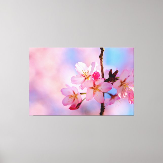 Vackra Sakura Blommor På En Vertikal Kvists Canvastryck (Framsida)