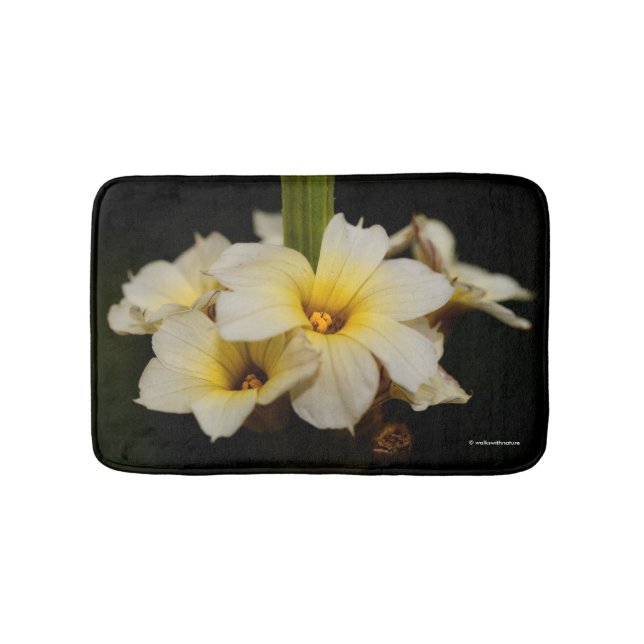 Vackra Satin Flowers på Black Badrumsmatta (Framsidan)